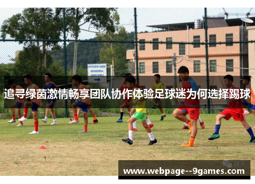 追寻绿茵激情畅享团队协作体验足球迷为何选择踢球