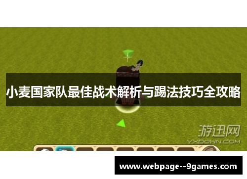 小麦国家队最佳战术解析与踢法技巧全攻略 小麦国家队最佳战术解析与踢法技巧全攻略