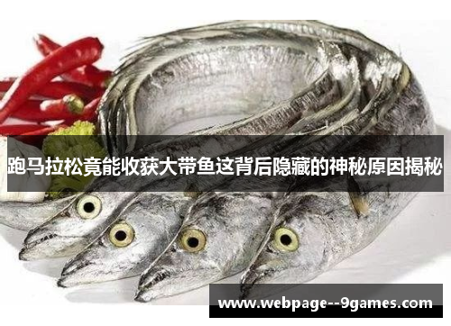 跑马拉松竟能收获大带鱼这背后隐藏的神秘原因揭秘